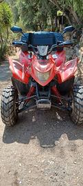 Quad Aeon Cobra 180