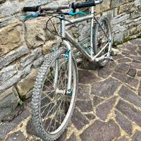 Bicicletta mountain bike da sistemare
