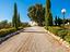 Immagine 9