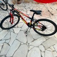 Bicicletta mountain bike