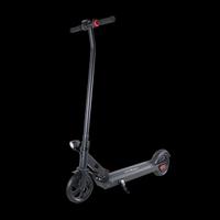 MONOPATTINO ELETTRICO WINDGOO 250W 36V