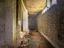 Immagine 28