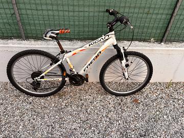 Bicicletta