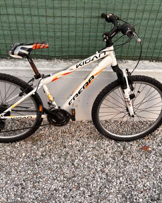 Bicicletta