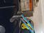 Immagine 17