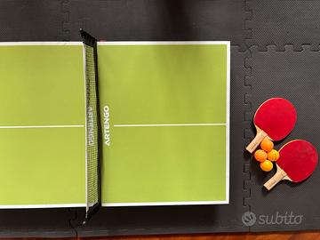 Mini ping pong