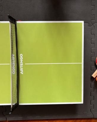 Mini ping pong