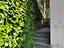 Immagine 29