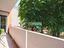 Immagine 13