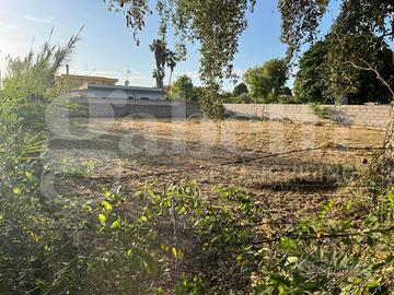 Terreno Residenziale Nettuno