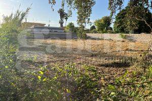 Terreno Residenziale Nettuno