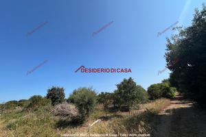 Terreno, Ciaculli - Croce Verde, Palermo.