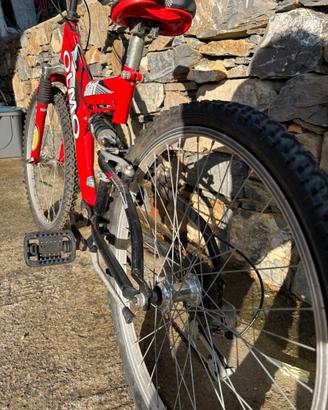 Bicicletta