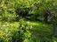 Immagine 24