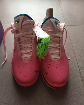 Scarpe Basket Lebron XXII "I PROMISE"