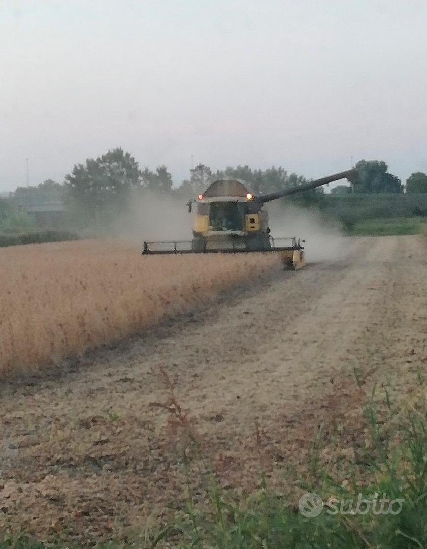Terreno agricolo - Vista 5