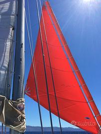 Tormentina (Vela da tempesta) Storm Jib 8 mq