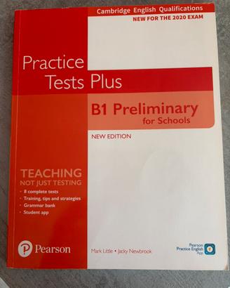 Practice tests plus B1