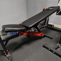 Panca regolabile + scott 