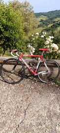 Bici da corsa Colnago Dream - Art Decor 11