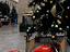 Immagine 6