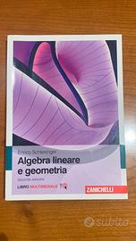 Libro di Algebra Lineare - Enrico Schlesinger