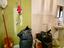 Immagine 27
