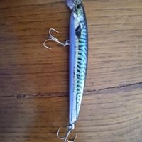 esca da pesca