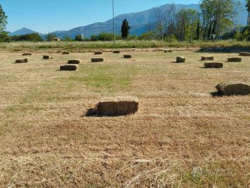 Balle fieno