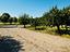 Immagine 29