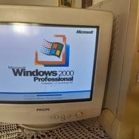 Monitor Vintage anni 90