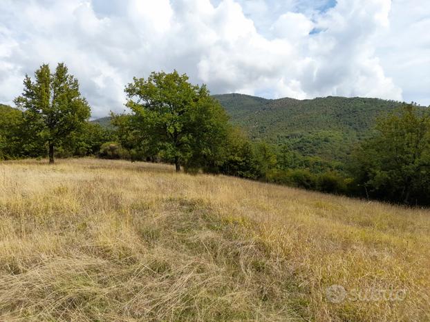 Terreno seminativo Cittàducale (Rieti)