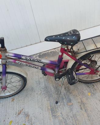 Bicicletta Bambino