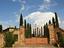 Immagine 7