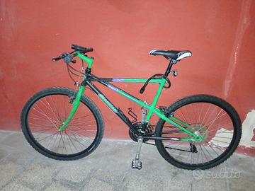 MTB BIANCHI RAGNO-PHOLCUS