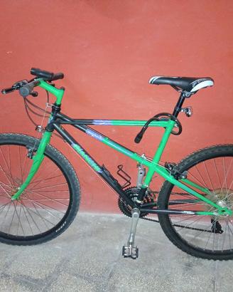 MTB BIANCHI RAGNO-PHOLCUS