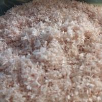 segatura sdrucciolata