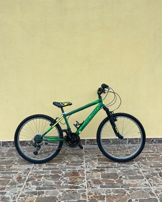 bici olmo taglia 24