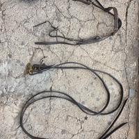 briglie equitazione natowa