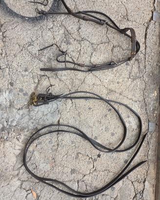 briglie equitazione natowa