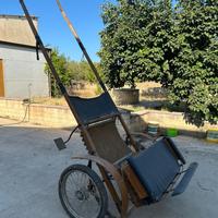 Carrozza per cavallo