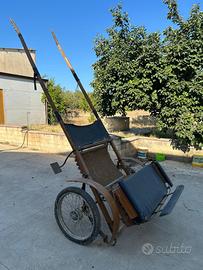 Carrozza per cavallo