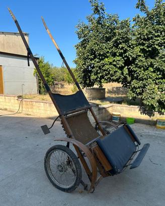 Carrozza per cavallo