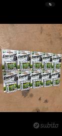Energizer AA pile ricaricabili x 10