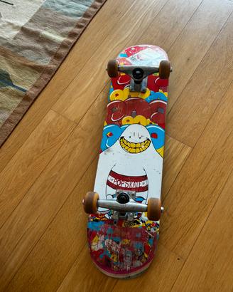Skateboard