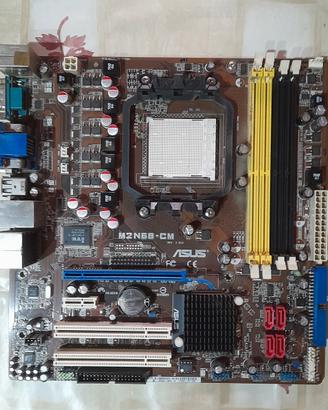 Scheda Madre Asus (AM2)
