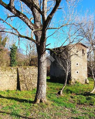 TER. AGRICOLO A PALIANO