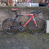 colnago eps  carbonio 