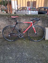 colnago eps  carbonio 