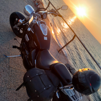 M800 intruder suzuky